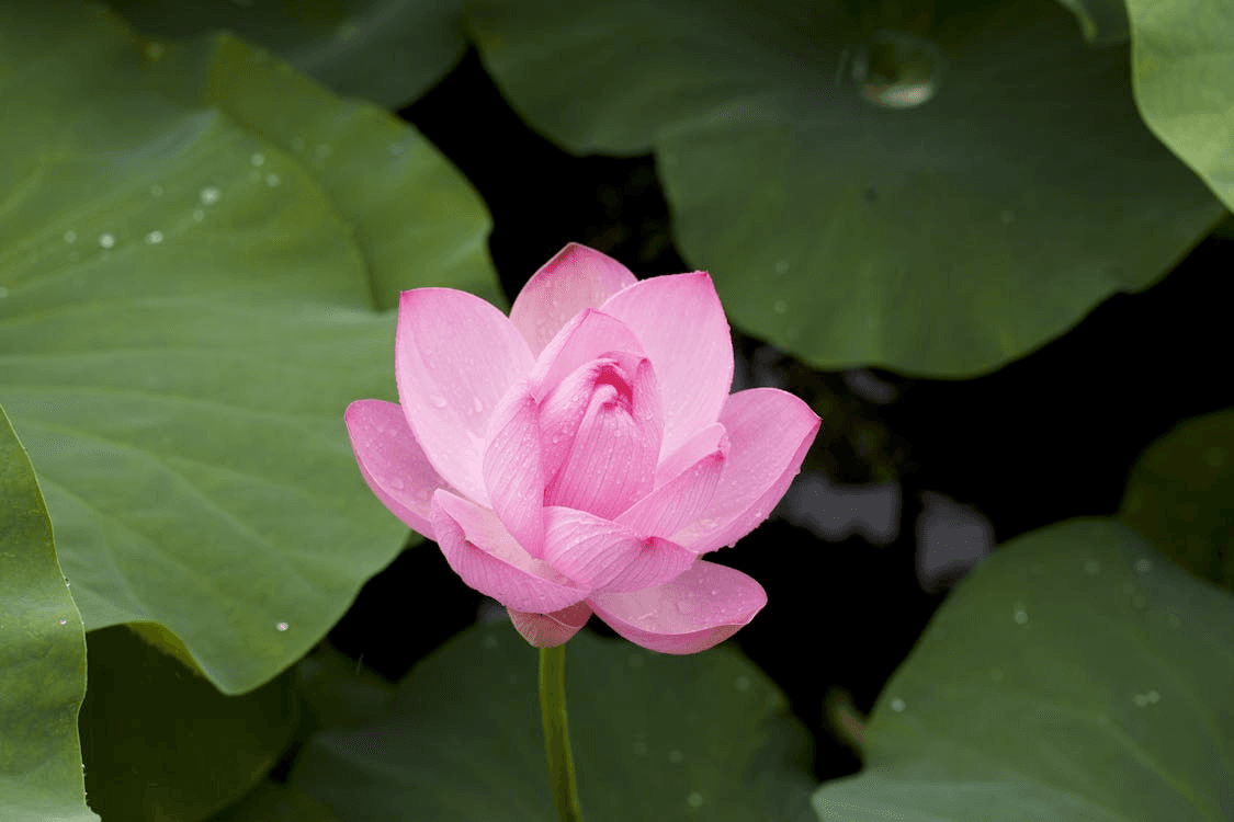 Monthly sermon & discussion